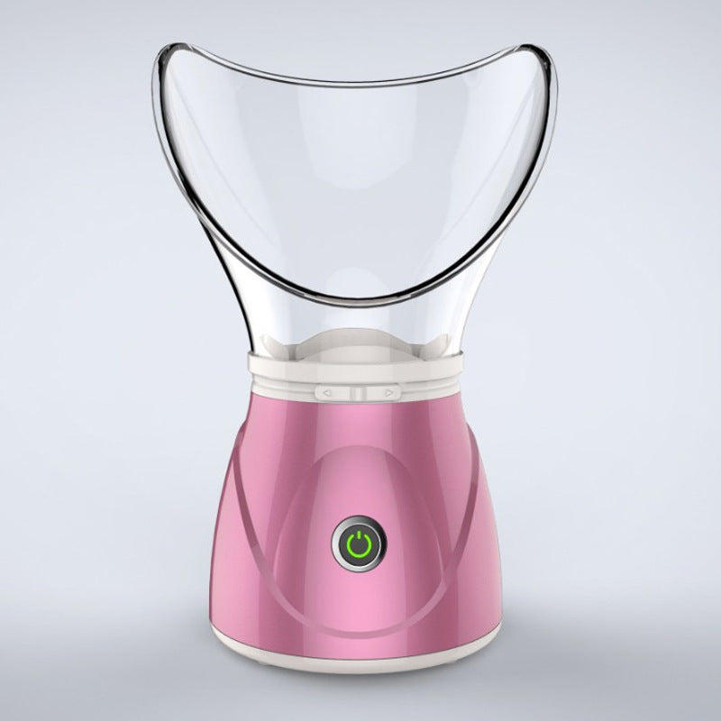 Anion facial steamer