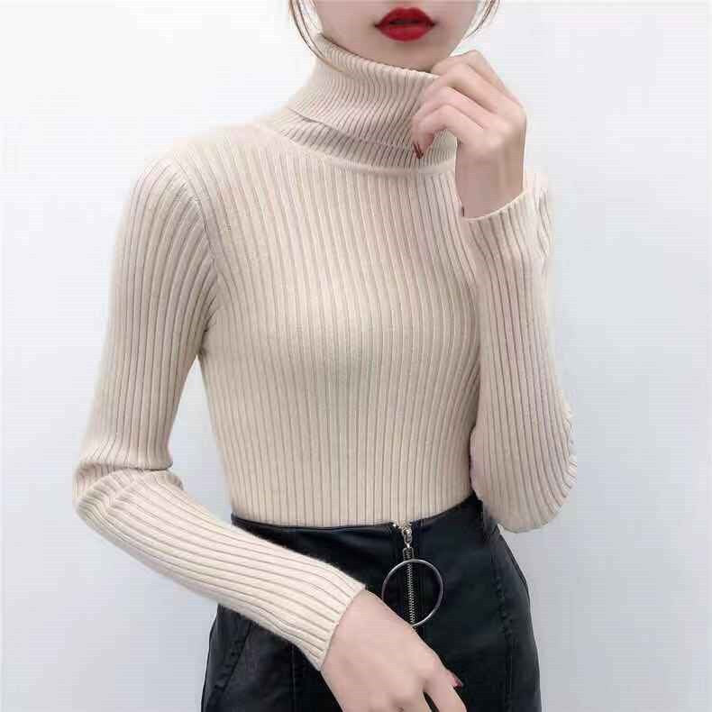 Women's Solid Color Turtleneck Sweater Winter Keep Warm