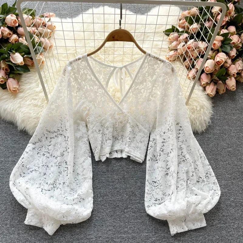 Crochet Lace Sheer Blouse