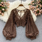 Crochet Lace Sheer Blouse